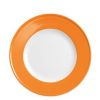 Solid Color Orange