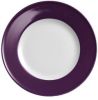 Solid Color Pflaume
