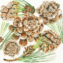 Paperproducts Servietten 33x33 cm Pommes des pin 