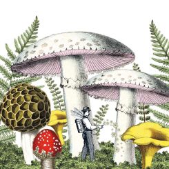 Paperproducts Design Servietten 33x33 cm Mushrooms 