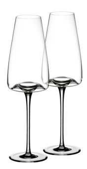 Zieher Weinglas Vision Rich 2-er Set 